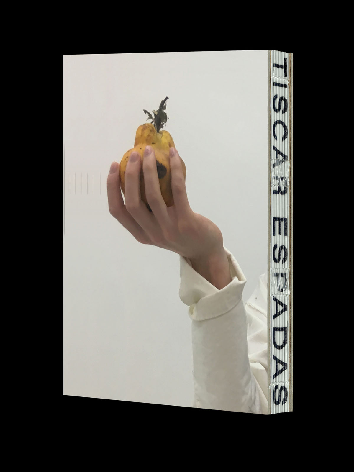 Tíscar Espadas_CAPÍTULO I, ARTBOOK_Hover Image