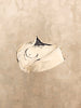 _THE DRAWING BOLERO HAT_3