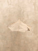 Tíscar Espadas_THE OFF WHITE BOLERO HAT_Featured Image
